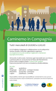 Caminemo in Compagnian 2013 - Locandina